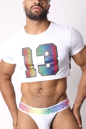 CB13 PRIDE CROP TOP