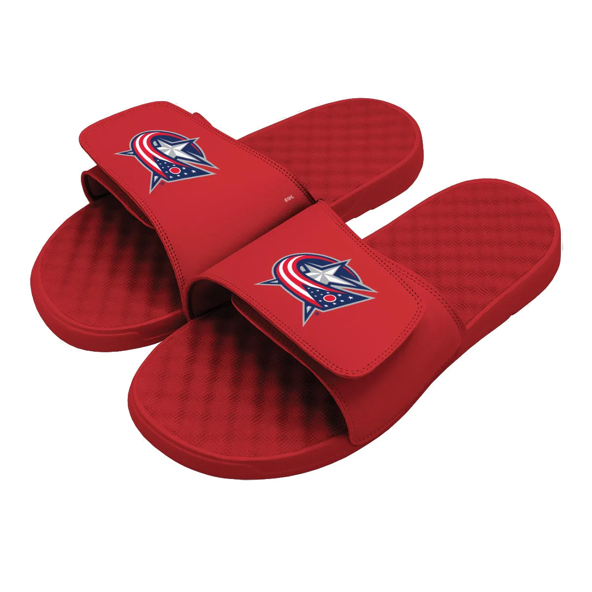 Columbus Blue Jackets Primary Slides