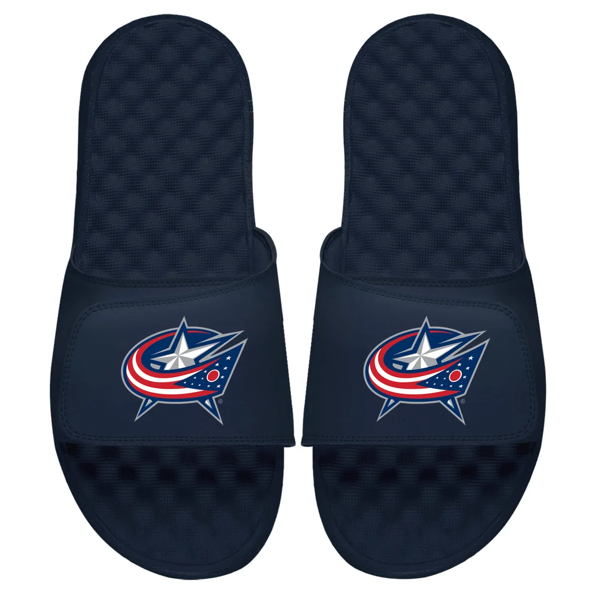 Columbus Blue Jackets Primary Slides