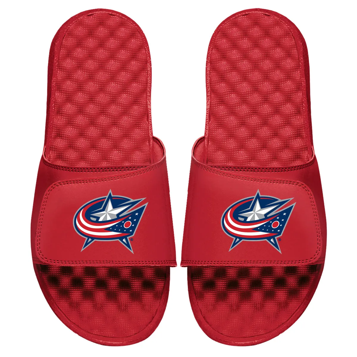 Columbus Blue Jackets Primary Slides