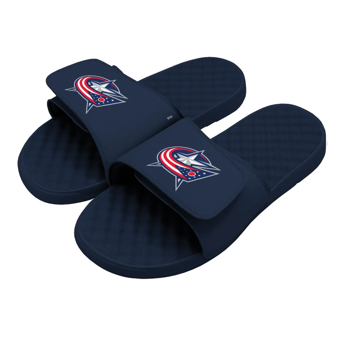 Columbus Blue Jackets Primary Slides