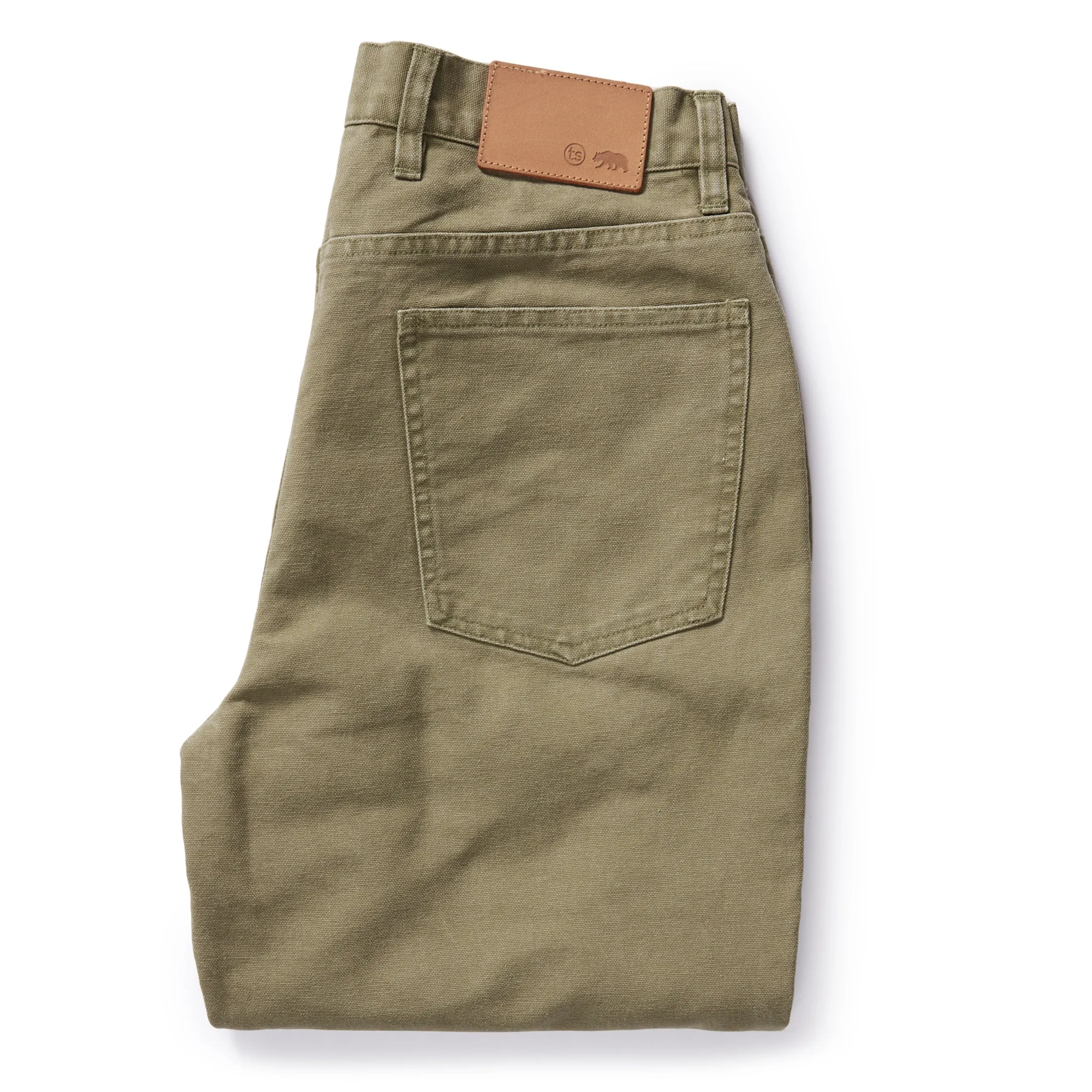 The Democratic All Day Pant in Arid Eucalyptus Canvas